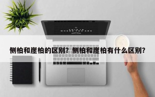 侧柏和崖柏的区别？侧柏和崖柏有什么区别？
