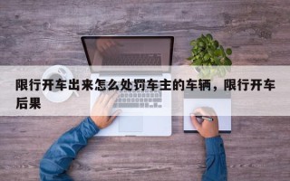 限行开车出来怎么处罚车主的车辆，限行开车后果