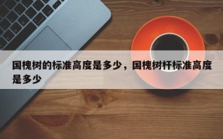 国槐树的标准高度是多少，国槐树杆标准高度是多少