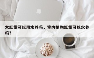 大红掌可以用水养吗，室内植物红掌可以水养吗?