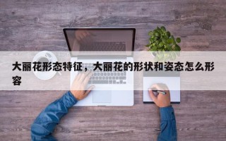 大丽花形态特征，大丽花的形状和姿态怎么形容