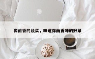 像茴香的蔬菜，味道像茴香味的野菜