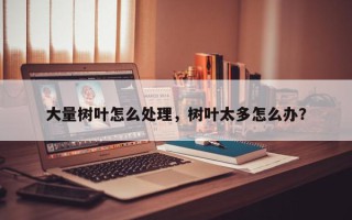 大量树叶怎么处理，树叶太多怎么办？