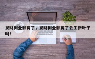 发财树全部剪了，发财树全部剪了会生新叶子吗！