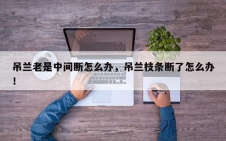 吊兰老是中间断怎么办，吊兰枝条断了怎么办！
