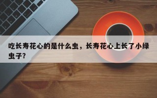 吃长寿花心的是什么虫，长寿花心上长了小绿虫子？