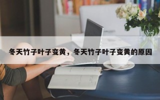 冬天竹子叶子变黄，冬天竹子叶子变黄的原因