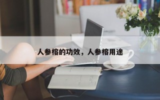 人参榕的功效，人参榕用途