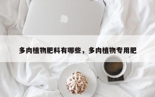 多肉植物肥料有哪些，多肉植物专用肥