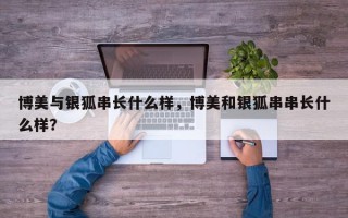 博美与银狐串长什么样，博美和银狐串串长什么样？