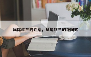 凤尾丝兰的介绍，凤尾丝兰的花图式