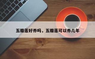 五瓣莲好养吗，五瓣莲可以养几年