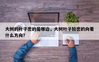 大树的叶子密的是哪边，大树叶子较密的向着什么方向？