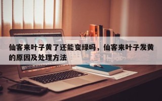 仙客来叶子黄了还能变绿吗，仙客来叶子发黄的原因及处理方法