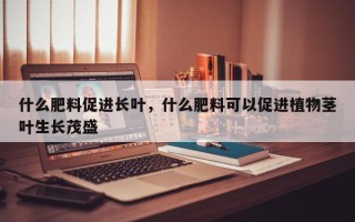 什么肥料促进长叶，什么肥料可以促进植物茎叶生长茂盛