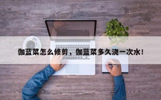 伽蓝菜怎么修剪，伽蓝菜多久浇一次水！