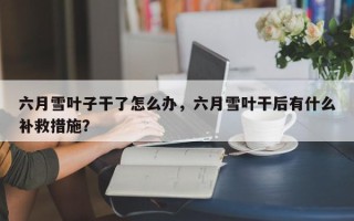 六月雪叶子干了怎么办，六月雪叶干后有什么补救措施？