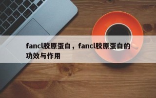fancl胶原蛋白，fancl胶原蛋白的功效与作用