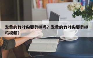 发黄的竹叶尖要剪掉吗？发黄的竹叶尖要剪掉吗视频？