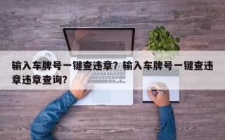 输入车牌号一键查违章？输入车牌号一键查违章违章查询？