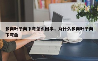 多肉叶子向下弯怎么回事，为什么多肉叶子向下弯曲