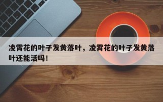 凌霄花的叶子发黄落叶，凌霄花的叶子发黄落叶还能活吗！