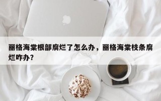 丽格海棠根部腐烂了怎么办，丽格海棠枝条腐烂咋办？