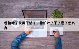 卷柏叶子发黄干枯了，卷柏叶子干了卷了怎么办
