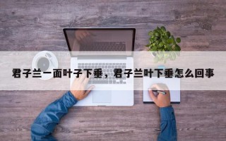君子兰一面叶子下垂，君子兰叶下垂怎么回事