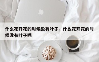 什么花开花的时候没有叶子，什么花开花的时候没有叶子呢