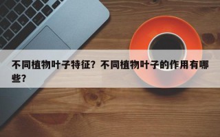 不同植物叶子特征？不同植物叶子的作用有哪些？
