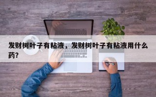 发财树叶子有粘液，发财树叶子有粘液用什么药？