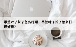 吊兰叶子长了怎么打理，吊兰叶子长了怎么打理好看？