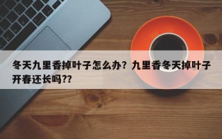 冬天九里香掉叶子怎么办？九里香冬天掉叶子开春还长吗?？