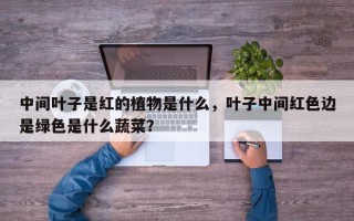 中间叶子是红的植物是什么，叶子中间红色边是绿色是什么蔬菜？