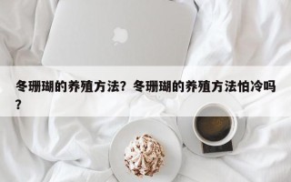 冬珊瑚的养殖方法？冬珊瑚的养殖方法怕冷吗？