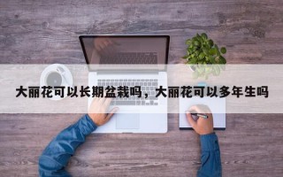 大丽花可以长期盆栽吗，大丽花可以多年生吗