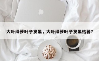大叶绿萝叶子发黑，大叶绿萝叶子发黑枯萎？
