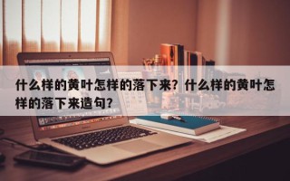 什么样的黄叶怎样的落下来？什么样的黄叶怎样的落下来造句？