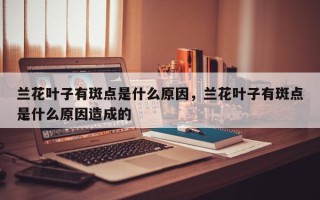 兰花叶子有斑点是什么原因，兰花叶子有斑点是什么原因造成的