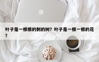 叶子是一根根的刺的树？叶子是一根一根的花？