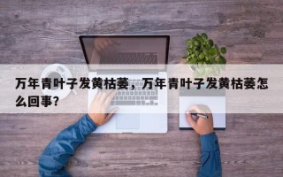 万年青叶子发黄枯萎，万年青叶子发黄枯萎怎么回事？
