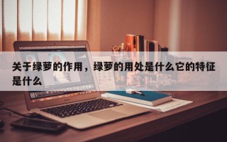 关于绿萝的作用，绿萝的用处是什么它的特征是什么