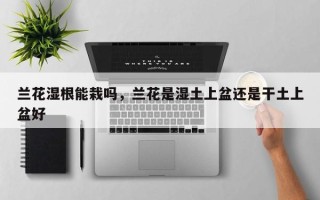 兰花湿根能栽吗，兰花是湿土上盆还是干土上盆好