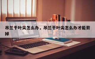 吊兰干叶尖怎么办，吊兰干叶尖怎么办才能剪掉