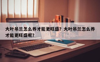 大叶吊兰怎么养才能更旺盛？大叶吊兰怎么养才能更旺盛呢？