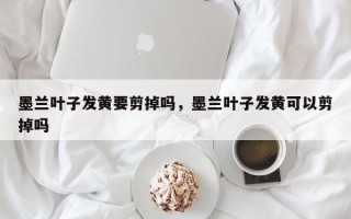 墨兰叶子发黄要剪掉吗，墨兰叶子发黄可以剪掉吗
