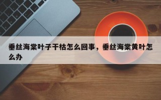 垂丝海棠叶子干枯怎么回事，垂丝海棠黄叶怎么办