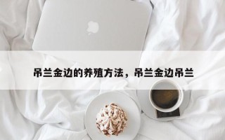 吊兰金边的养殖方法，吊兰金边吊兰