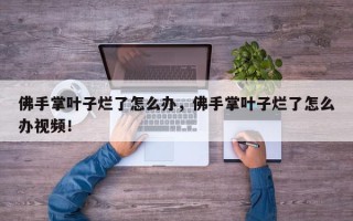 佛手掌叶子烂了怎么办，佛手掌叶子烂了怎么办视频！